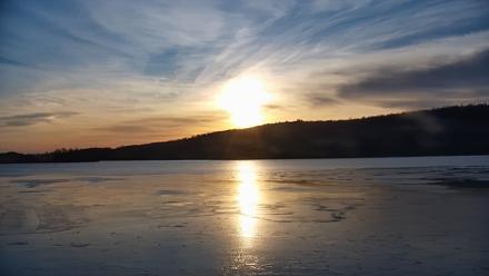 Pennsylvania Snow Geese Live Webcam - Dec 20, 2025, 8:03am EST