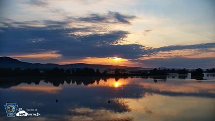 Pennsylvania Snow Geese Live Webcam - Jul 13, 2026, 6:13am EDT