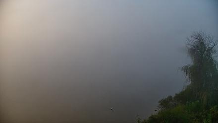 Pennsylvania Snow Geese Live Webcam - Oct 6, 2025, 7:36am EDT