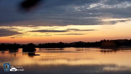 Pennsylvania Snow Geese Live Webcam - Aug 24, 2026, 6:12am EDT