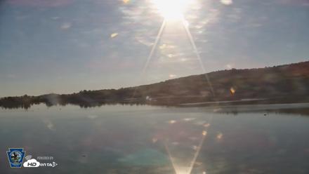 Pennsylvania Snow Geese Live Webcam - Oct 23, 2026, 9:11am EDT