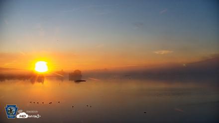 Pennsylvania Snow Geese Live Webcam - Aug 26, 2026, 6:35am EDT
