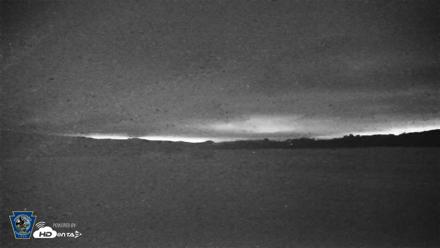 Pennsylvania Snow Geese Live Webcam - Jul 6, 2026, 10:04pm EDT