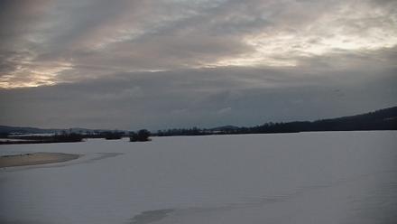 Pennsylvania Snow Geese Live Webcam - Jan 26, 2026, 6:53am EST