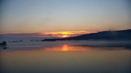 Pennsylvania Snow Geese Live Webcam - Nov 8, 2025, 6:55am EST