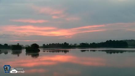Pennsylvania Snow Geese Live Webcam - Aug 28, 2026, 6:27am EDT