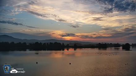 Pennsylvania Snow Geese Live Webcam - Jul 11, 2026, 5:51am EDT