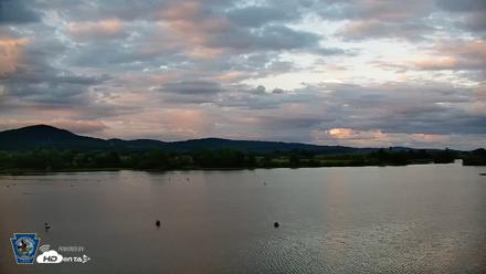 Pennsylvania Snow Geese Live Webcam - Jul 30, 2026, 8:06pm EDT