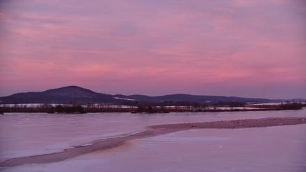 Pennsylvania Snow Geese Live Webcam - Feb 10, 2026, 5:38pm EST