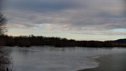 Pennsylvania Snow Geese Live Webcam - Mar 2, 2026, 4:53pm EST