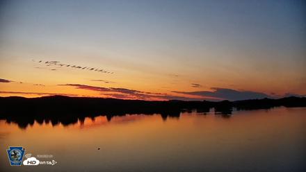 Pennsylvania Snow Geese Live Webcam - Jun 1, 2026, 5:31am EDT