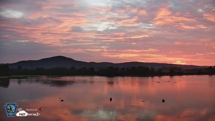 Pennsylvania Snow Geese Live Webcam - Aug 5, 2026, 6:04am EDT