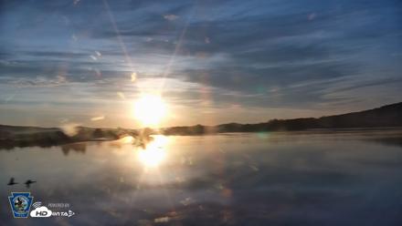 Pennsylvania Snow Geese Live Webcam - Sep 12, 2026, 7:03am EDT