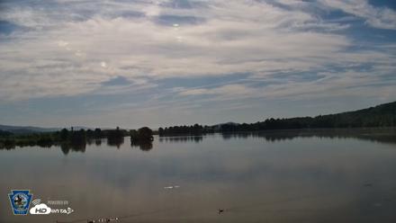 Pennsylvania Snow Geese Live Webcam - Jun 5, 2026, 8:45am EDT
