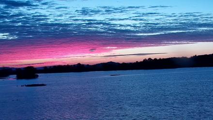 Pennsylvania Snow Geese Live Webcam - Oct 7, 2025, 6:50am EDT