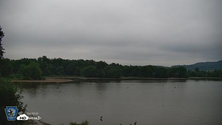 Pennsylvania Snow Geese Live Webcam - Jul 9, 2026, 5:29am EDT