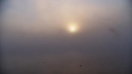 Pennsylvania Snow Geese Live Webcam - Oct 6, 2025, 7:37am EDT