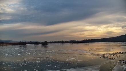 Pennsylvania Snow Geese Live Webcam - Jan 5, 2026, 9:31am EST