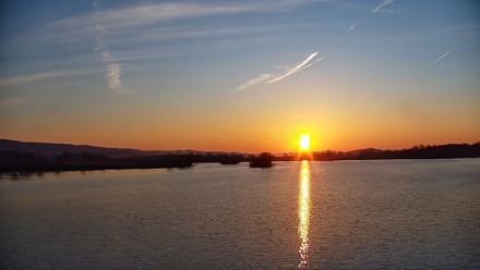 Pennsylvania Snow Geese Live Webcam - Mar 20, 2026, 7:20am EDT