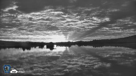 Pennsylvania Snow Geese Live Webcam - Sep 30, 2026, 6:57am EDT