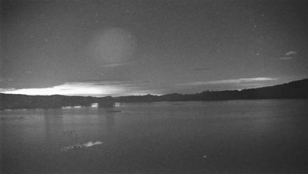 Pennsylvania Snow Geese Live Webcam - Oct 14, 2025, 10:58pm EDT