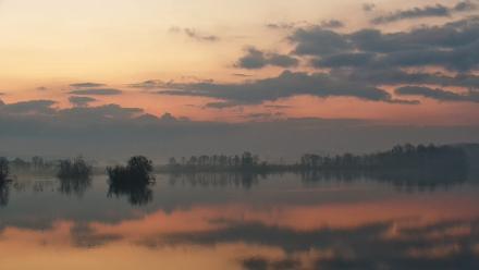 Pennsylvania Snow Geese Live Webcam - Mar 21, 2026, 6:56am EDT