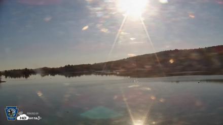 Pennsylvania Snow Geese Live Webcam - Oct 23, 2026, 9:10am EDT
