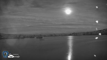 Pennsylvania Snow Geese Live Webcam - Sep 25, 2026, 7:31pm EDT