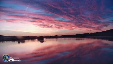 Pennsylvania Snow Geese Live Webcam - Sep 12, 2026, 6:30am EDT