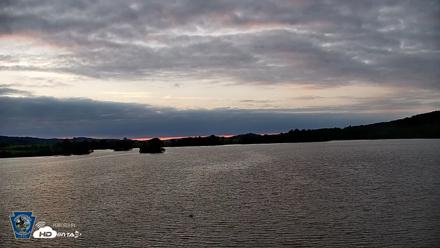 Pennsylvania Snow Geese Live Webcam - Jun 9, 2026, 5:43am EDT