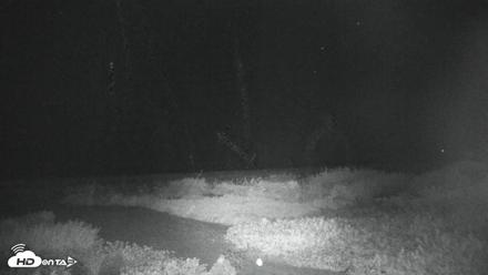 Sanibel Island Florida Live Beach Webcam - Aug 14, 2026, 1:57am EDT