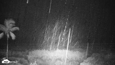 Sanibel Island Florida Live Beach Webcam - Oct 7, 2026, 2:21am EDT