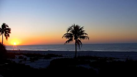 Sanibel Island Florida Live Beach Webcam - Feb 7, 2026, 7:14am EST