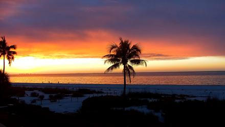 Sanibel Island Florida Live Beach Webcam - Feb 5, 2026, 7:10am EST