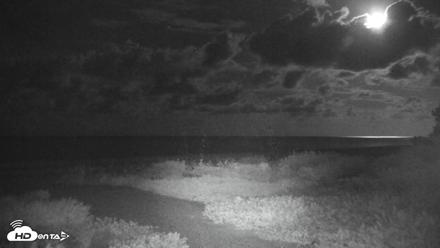 Sanibel Island Florida Live Beach Webcam - Aug 19, 2026, 11:01pm EDT