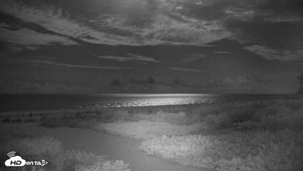 Sanibel Island Florida Live Beach Webcam - Aug 24, 2026, 12:44am EDT