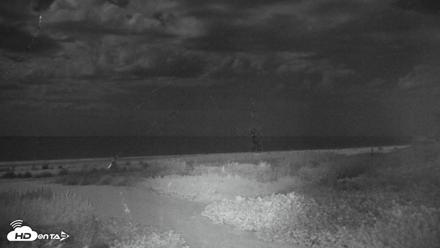 Sanibel Island Florida Live Beach Webcam - Oct 21, 2026, 8:44pm EDT