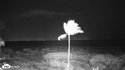 Sanibel Island Florida Live Beach Webcam - Sep 12, 2026, 12:22am EDT