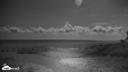 Sanibel Island Florida Live Beach Webcam - Apr 30, 2026, 2:47am EDT