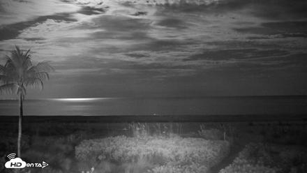 Sanibel Island Florida Live Beach Webcam - May 31, 2026, 11:18pm EDT