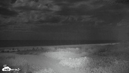 Sanibel Island Florida Live Beach Webcam - Oct 21, 2026, 8:45pm EDT
