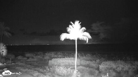 Sanibel Island Florida Live Beach Webcam - Jul 26, 2026, 4:20am EDT