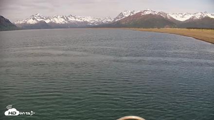 Cook Inlet Alaska Bear Viewing Live Cam - Jun 8, 2026, 9:01am AKDT