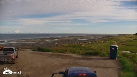 Cook Inlet Alaska Bear Viewing Live Cam - Jun 16, 2026, 8:08am AKDT