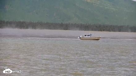 Cook Inlet Alaska Bear Viewing Live Cam - Jun 19, 2026, 1:25pm AKDT