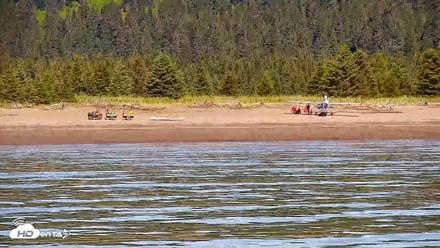 Cook Inlet Alaska Bear Viewing Live Cam - Jul 7, 2026, 12:34pm AKDT
