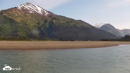 Cook Inlet Alaska Bear Viewing Live Cam - Jun 8, 2026, 10:28am AKDT