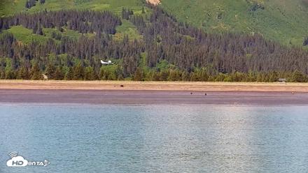 Cook Inlet Alaska Bear Viewing Live Cam - Jun 18, 2026, 1:08pm AKDT