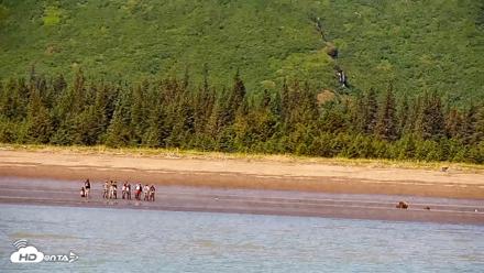 Cook Inlet Alaska Bear Viewing Live Cam - Jul 6, 2026, 1:28pm AKDT