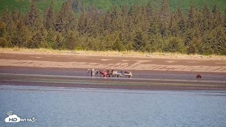 Cook Inlet Alaska Bear Viewing Live Cam - Jun 18, 2026, 10:45am AKDT
